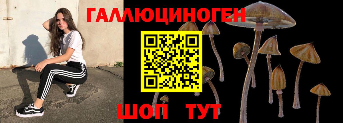 Ржев  Псилоцибиновые грибы Psilocybine cubensis  Псилоцибиновые грибы ЛСД  Вход с VPN 
